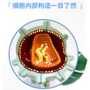 HIV cell model Human teaching Cytopathy model HIV cell structure amplification model