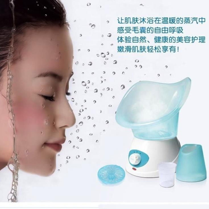 Facial Steamer Steamed Nose Chinese Herbal Medicine Steam Spray Machine For Rhinitis Sinusitis