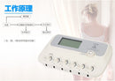 6 チャンネル Hwato sdz-iii 低周波電気鍼刺激装置神経と筋肉用鍼