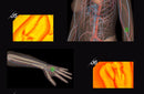 HD Vein imaging Vein Viewer Vein Finder Vein Camera Auxiliary Positioning Vein Tool