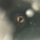 Otoscope Ophthalmoscope Stomatoscop Ear Care Diagnostic Instruments Ear canal endoscope 1 Set