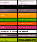 FDA Dual Ionische Voetenbad Detox Machine Systeem Ver Infrarood Riem Twee Ion Reinigen Array Voet Detox Spa Massager Twee Persoons gebruik