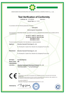 FDA Dual Ionische Voetenbad Detox Machine Systeem Ver Infrarood Riem Twee Ion Reinigen Array Voet Detox Spa Massager Twee Persoons gebruik