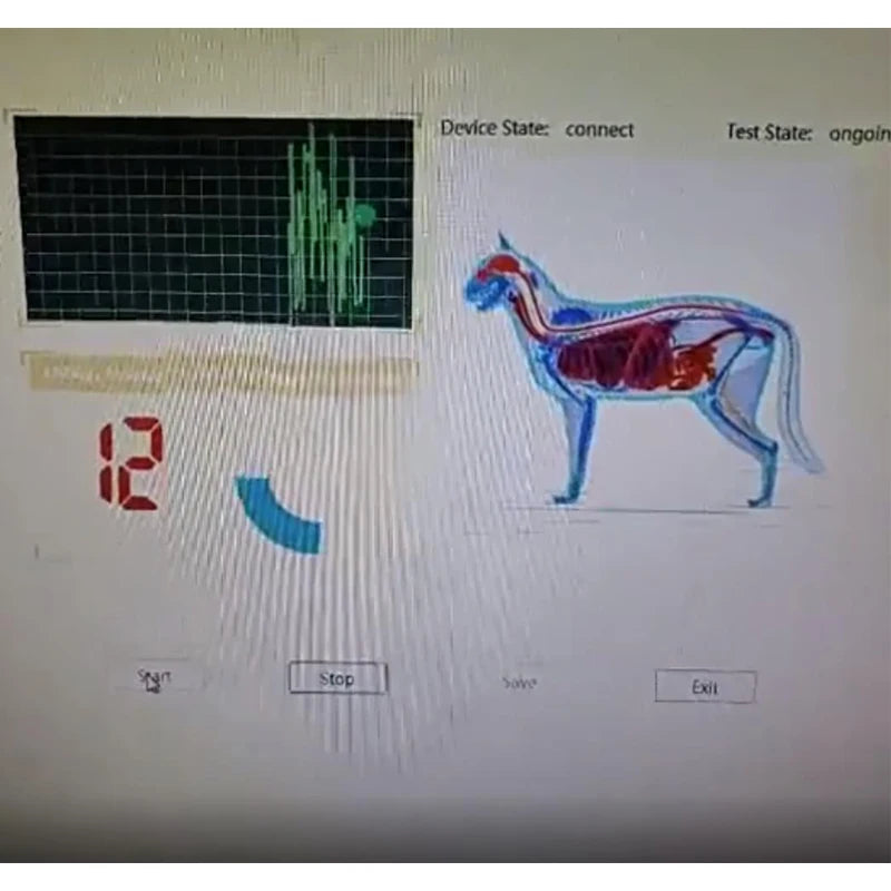 Venda quente cão gato análise de saúde ressonância quântica pet scanner analisador pet scanner analisador quântico para cães e gatos animais