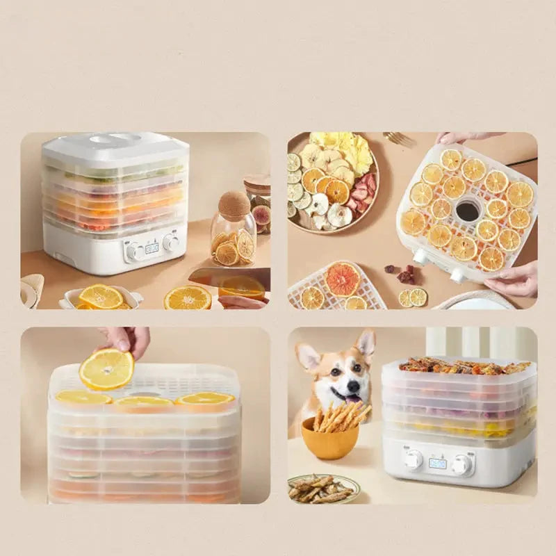 Intelligent Fruit Dryer Long Lasting Thermostatic Food Dehydrator Fruit Vegetable Meat Dehydrated Pet Snack Drying Machine