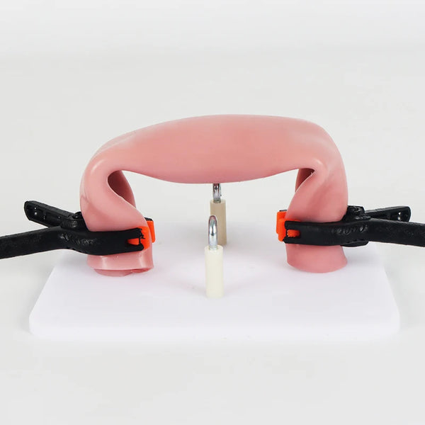 Modello di sutura intestinale con supporto didattico per la pratica del modulo di anastomosi per l'addestramento alla chirurgia laparoscopica con clip per staffa