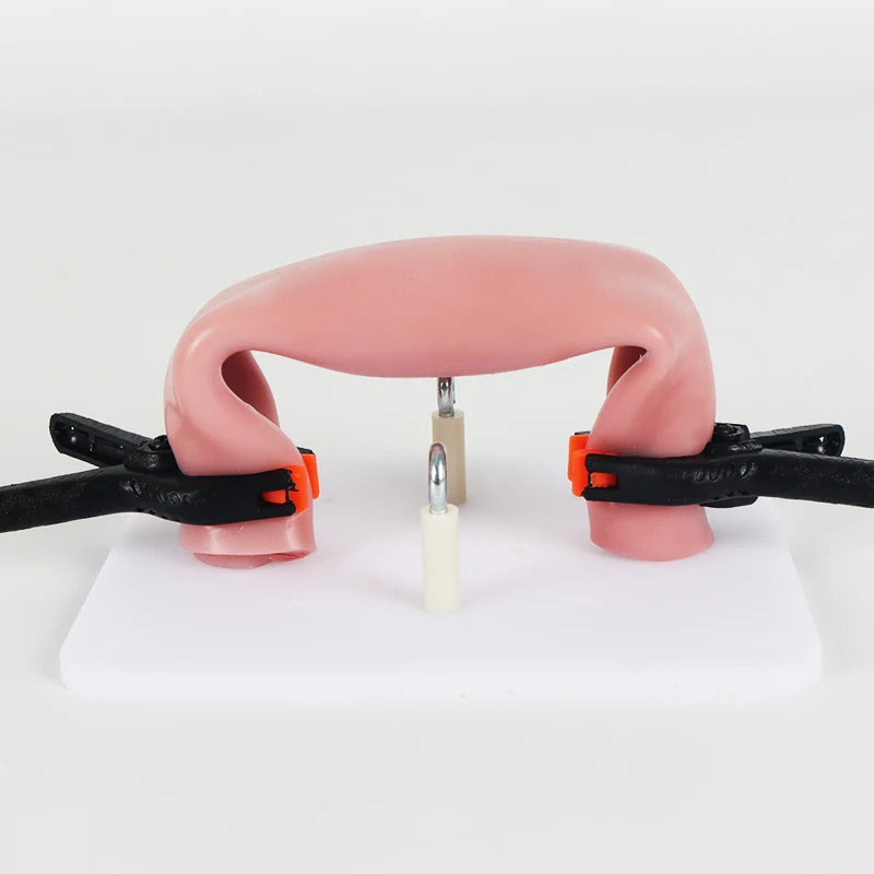 Modelo de sutura Intestinal con clip de soporte, módulo de anastomosis para entrenamiento de cirugía laparoscópica, material didáctico para la práctica