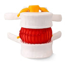 Lumbar Vertebral Model of Human Lumbar Intervertebral Disc Herniation Demonstration Model