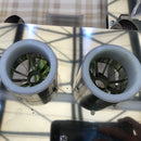 Manuel salatalık kesme makinesi Salatalık Splitter Kesici havuç şerit kesici sebze doğrama makinesi Kore suşi için