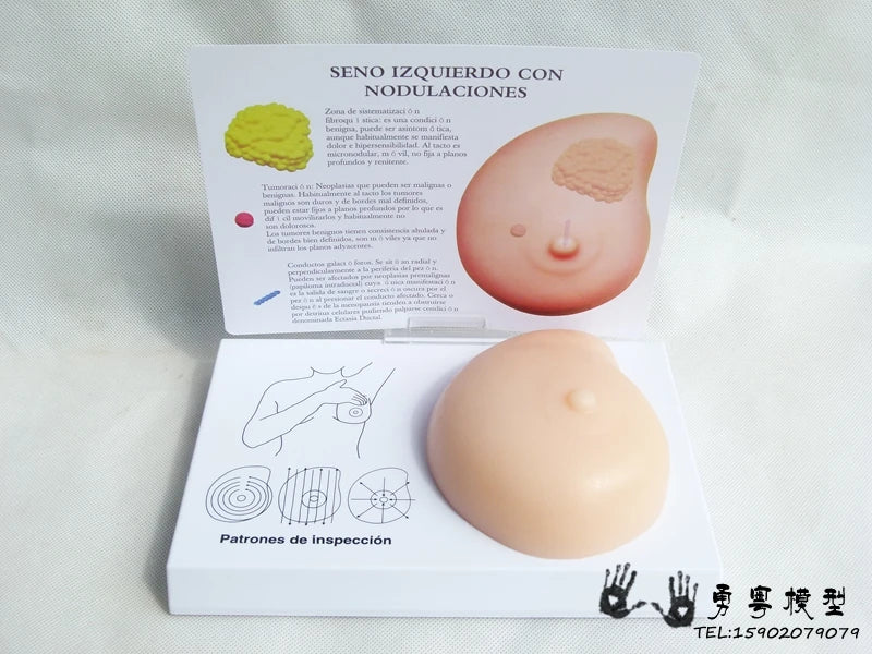 Pathological breast model Breast self-examination model Breast lump soft material silicone family planning office teaching model