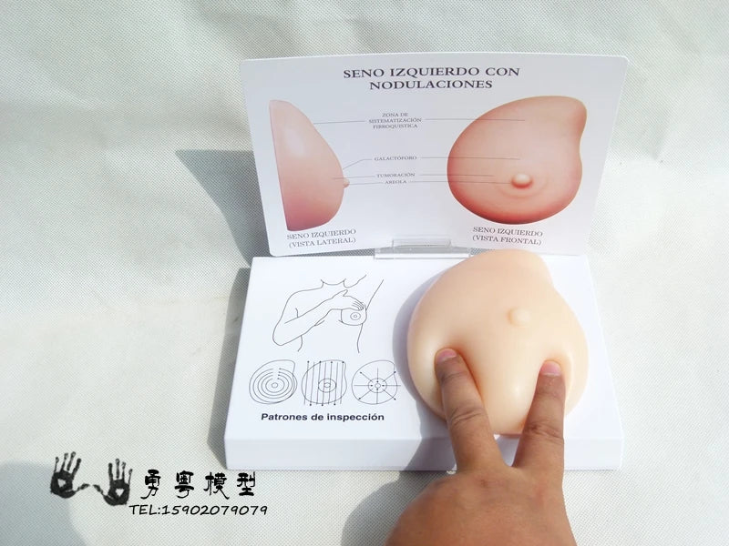Modelo de mama patológica, modelo de autoexame de mama, caroço de mama, material macio, silicone, planejamento familiar, modelo de ensino de escritório