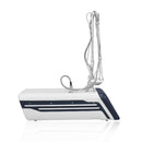 Professional Co2 Fractional for Acne Scar Removal Vagina Tighting Pigment Removal Skin Resurfacing Machine For Wrinkle Removal