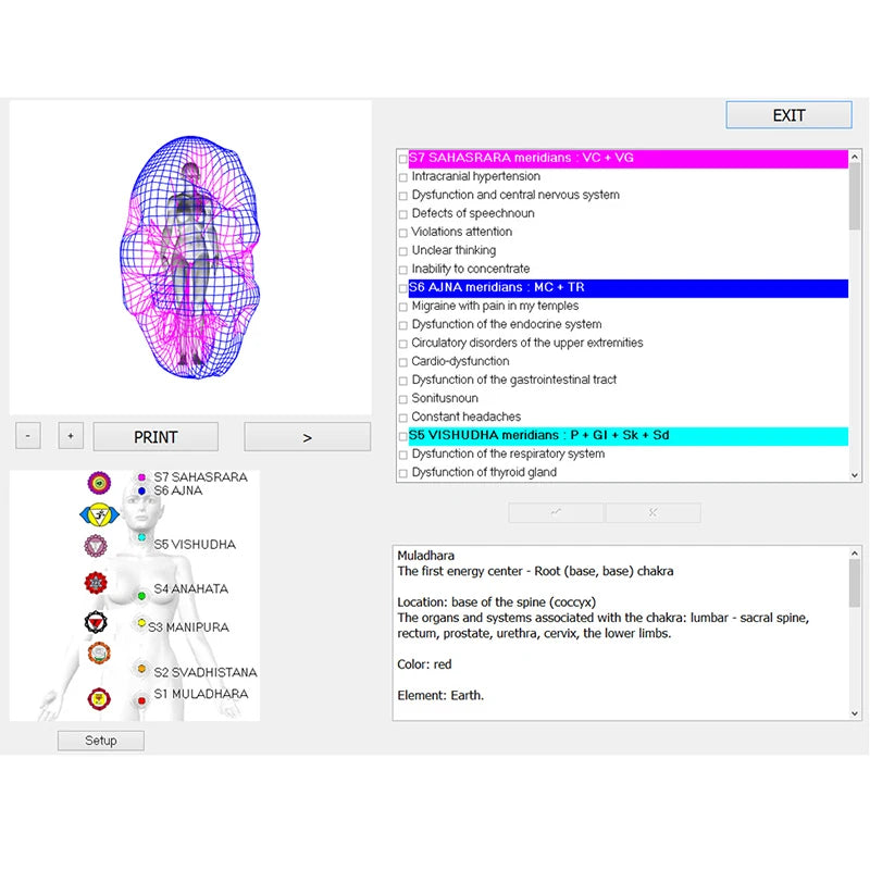 Scanner Metatron Professional Metapathia GR 8D 25D NLS Bioresonance Quantum Body Health ...