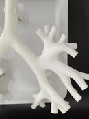 Bronchoscopy Training Model