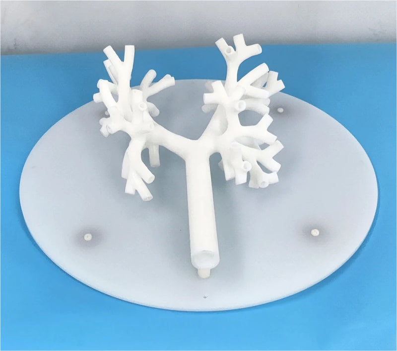 気管支鏡トレーニングモデル気管支気管モデルグレード 5 分岐硬質材料