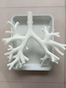 Bronchoscopy Training Model