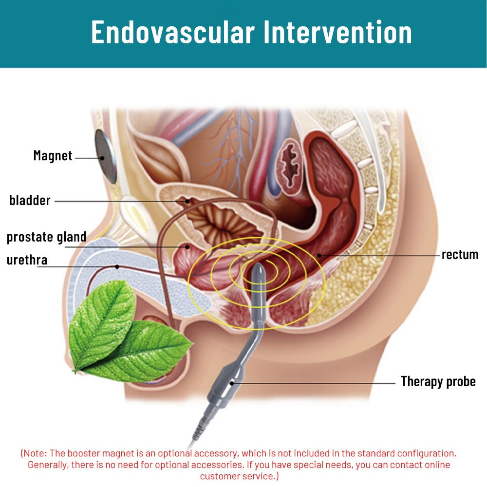 Toglarda porno tomosha qiling