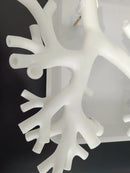 Bronchoscopy Training Model