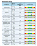 Analyseur magnétique de résonance quantique BIOSCAN analyseur de corps quantique avec sonde de test 52 rapports pour le Test de sous-santé