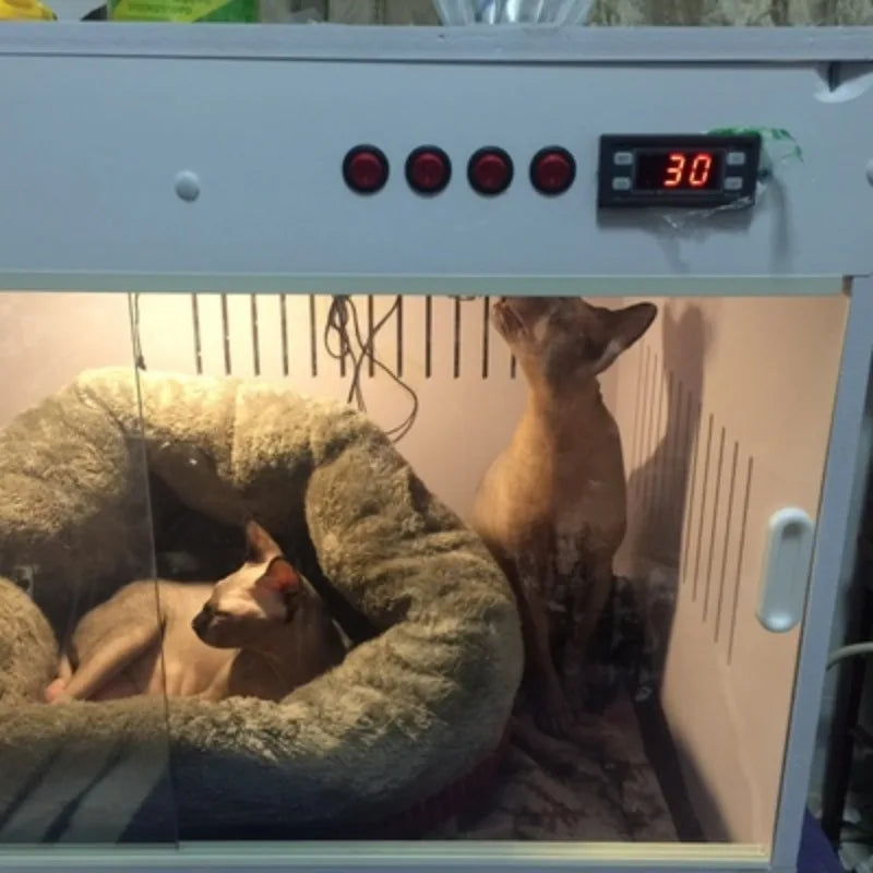 Veterinärutrustning Professionell valp Inkubator Hund Inkubator Syretillförsel för husdjur Termostatisk inkubator
