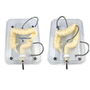 Colonoscopy Training Model Simulator