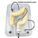 Colonoscopy Training Model Simulator
