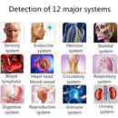 2021 Berbilang bahasa 9D NLS Diagnostik Sel Bioresonans Sub Kesihatan Penganalisis Badan Diacom Bioresonans Kuantum